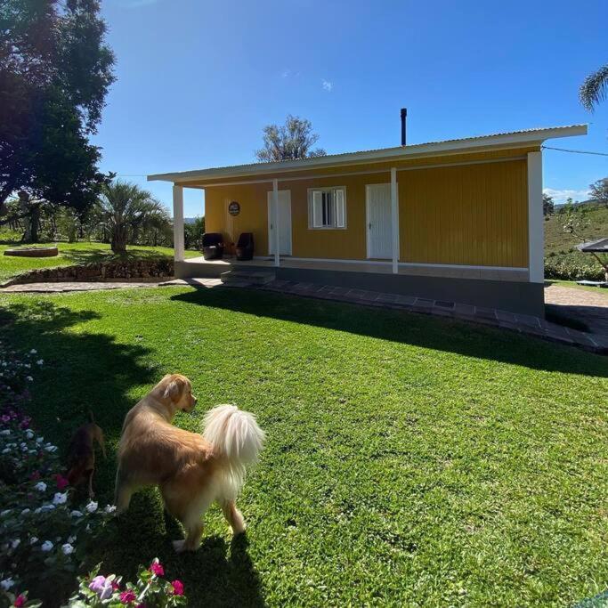 Casa Vigneto Octavio No Vale Dos Vinhedos Villa Bento Gonçalves Buitenkant foto