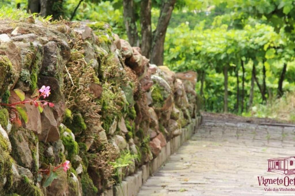 Casa Vigneto Octavio No Vale Dos Vinhedos Villa Bento Gonçalves Buitenkant foto