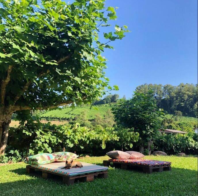 Casa Vigneto Octavio No Vale Dos Vinhedos Villa Bento Gonçalves Buitenkant foto